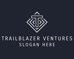 Professional Business Venture logo design