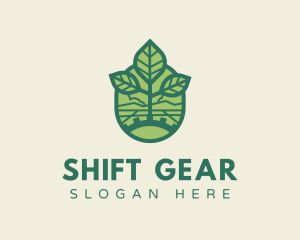 Eco Seedling Leaf Gear logo design