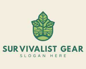 Eco Seedling Leaf Gear logo design