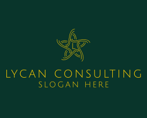 Star Line Insurance Consulting logo design