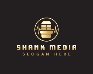 Media Microphone Broadcast logo design