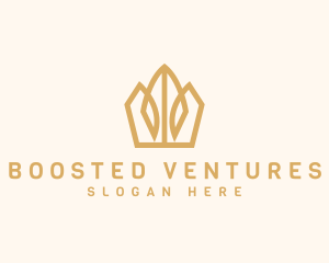 Premium Royalty Crown logo design