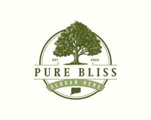 Connecticut White Oak Tree logo design