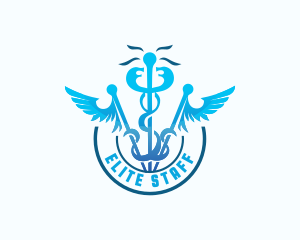 Medical Caduceus Healthcare logo