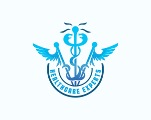 Medical Caduceus Healthcare logo design