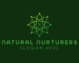 Natural Astronomy Mandala logo design