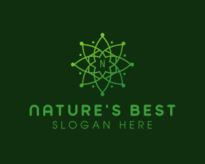 Natural Astronomy Mandala logo design