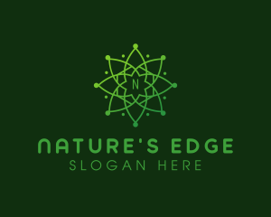 Natural Astronomy Mandala logo design