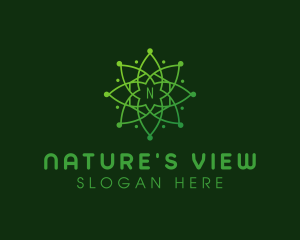 Natural Astronomy Mandala logo design