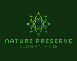 Natural Astronomy Mandala logo design