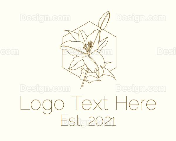 Gold Stargazer Hexagon Monoline Logo