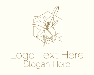 Gold Stargazer Hexagon Monoline Logo