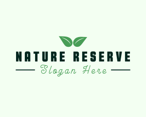 Eco Natural Leaf  logo design