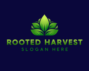 Leaf Grass Garden logo design