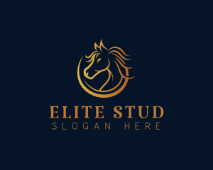 Horse Stallion Equestrian logo design