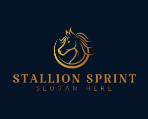 Horse Stallion Equestrian logo design