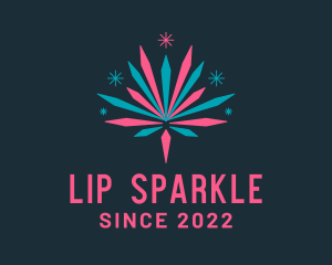 Sparkle Celebration Fireworks logo design