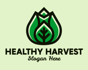 Modern Healthy Leaf  logo design
