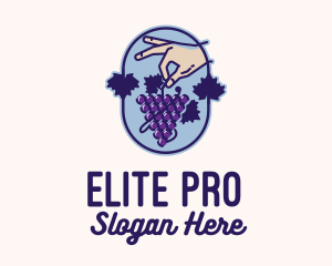 Grape Vine Harvest  logo design