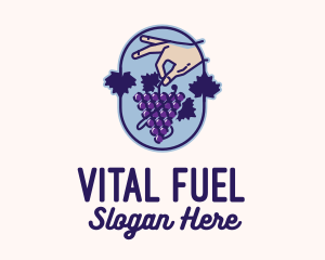 Grape Vine Harvest  logo design