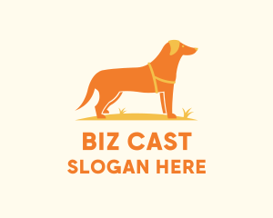 Dog Pet Veterinary logo