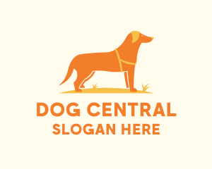 Dog Pet Veterinary logo design