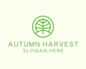 Green Eco Forest logo design