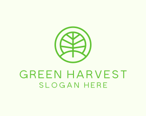 Green Eco Forest logo design