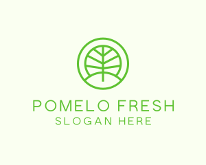 Green Eco Forest logo design