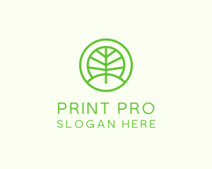 Green Eco Forest logo design