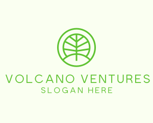 Green Eco Forest logo design