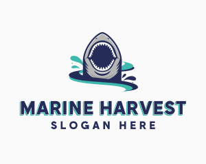 Marine Predator Shark logo design