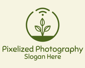 Plant Wifi Signal Badge logo design