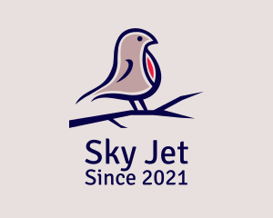 Pigeon Bird Aviary  logo