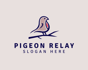 Pigeon Bird Aviary  logo