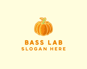 Orange Pumpkin Vegetable logo design