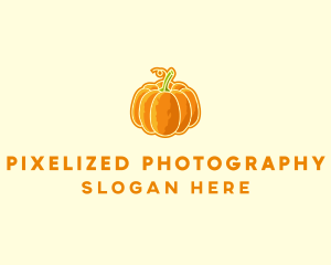 Orange Pumpkin Vegetable logo design