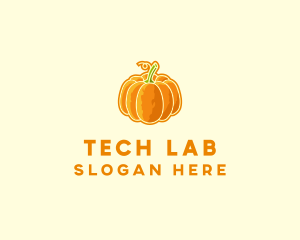 Orange Pumpkin Vegetable logo design