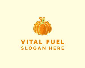 Orange Pumpkin Vegetable logo design