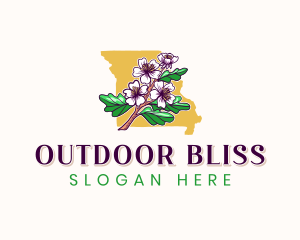 Missouri Blossom Flower logo design