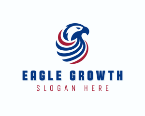 Aviation Eagle Bird logo design