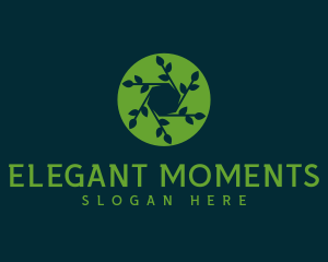 Hexagon Leaf Plant logo design