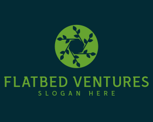 Hexagon Leaf Plant logo design