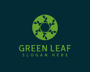 Hexagon Leaf Plant logo
