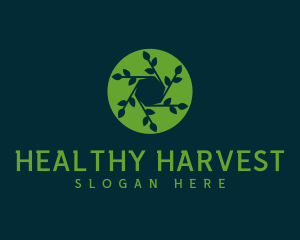 Hexagon Leaf Plant logo design