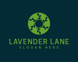 Hexagon Leaf Plant logo design