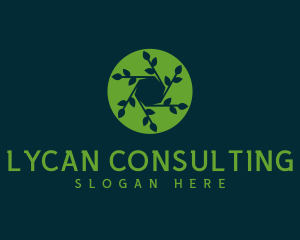 Hexagon Leaf Plant logo design