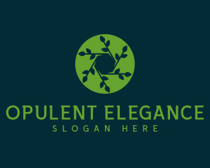 Hexagon Leaf Plant logo design