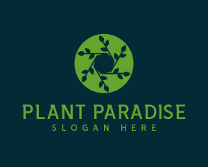 Hexagon Leaf Plant logo design