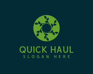 Hexagon Leaf Plant logo design